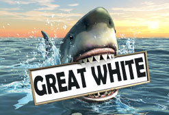 Great White